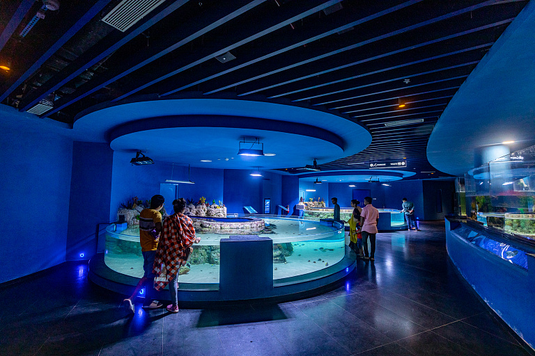 Gujarat Science City Aquatics Gallery