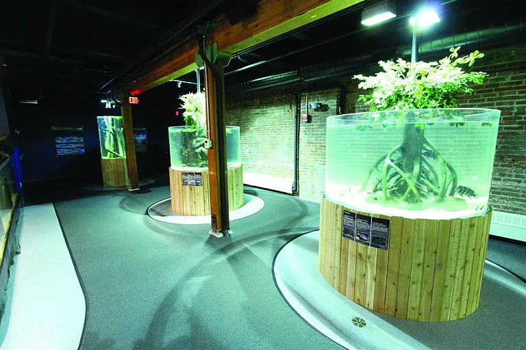 Greater Cleveland Aquarium