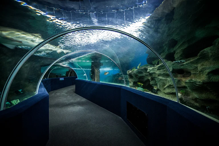 Greater Cleveland Aquarium
